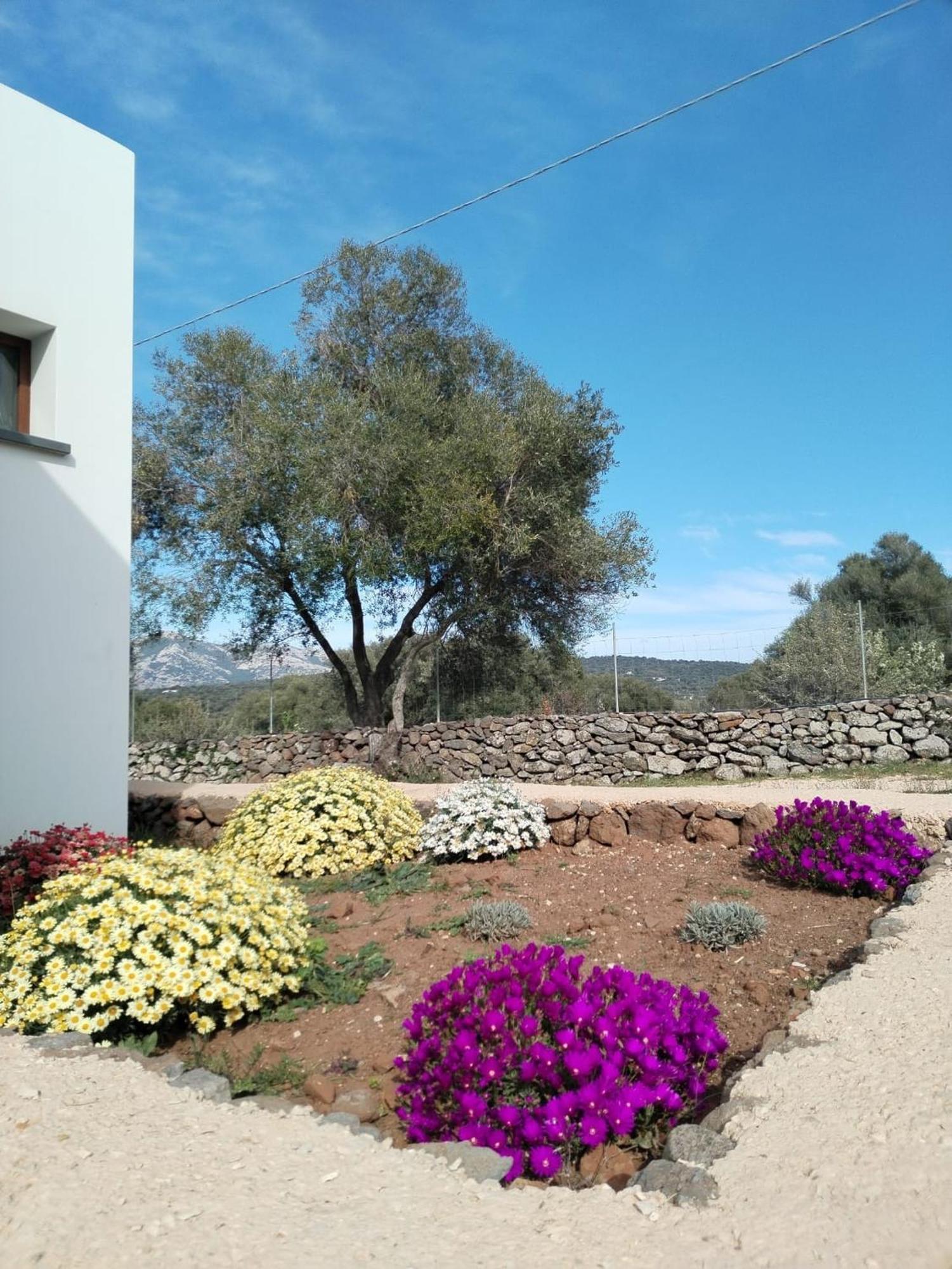 Farmhouse La Croisette - Agriturismo Dorgali Dış mekan fotoğraf
